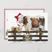 Weihnachtskühe mit Weihnachtsmannmütze Feiertagspostkarte (Vorne/Hinten)