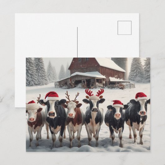 Weihnachtskühe Postkarte (Vorne/Hinten)