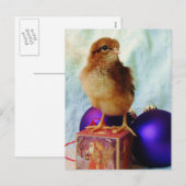 Weihnachtsküken 2 feiertagspostkarte (Vorne/Hinten)