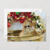Weihnachtsküken Feiertagspostkarte (Vorne/Hinten)