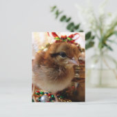 Weihnachtsküken Feiertagspostkarte (Stehend Vorderseite)