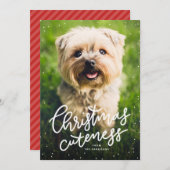 Weihnachtskutte niedliche Haustier-Urlaubskarte Feiertagskarte (Vorne/Hinten)