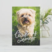 Weihnachtskutte niedliche Haustier-Urlaubskarte Feiertagskarte (Stehend Vorderseite)