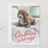 Weihnachtskutte niedliche Haustier-Urlaubskarte Feiertagskarte (Vorderseite)