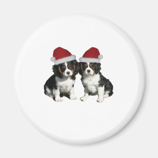 Weihnachtskvaliers Magnet