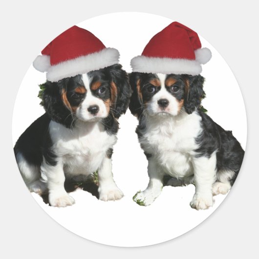 Weihnachtskvaliers Runder Aufkleber (Vorderseite)