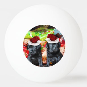 Weihnachtslabrador-Hunde Tischtennisball