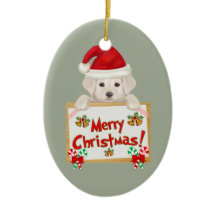 Weihnachtslabrador-Welpe! Für Welpen-Liebhaber!