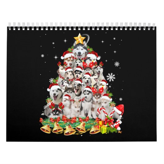 Weihnachtsleuchten | Hundexmas Kalender (Titelbild)