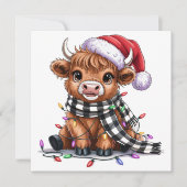 Weihnachtslicht Hochland-Kuh-Weihnachtsmannmütze Feiertagskarte (Vorderseite)