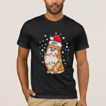Weihnachtslicht Pomeranian Hund Welpe