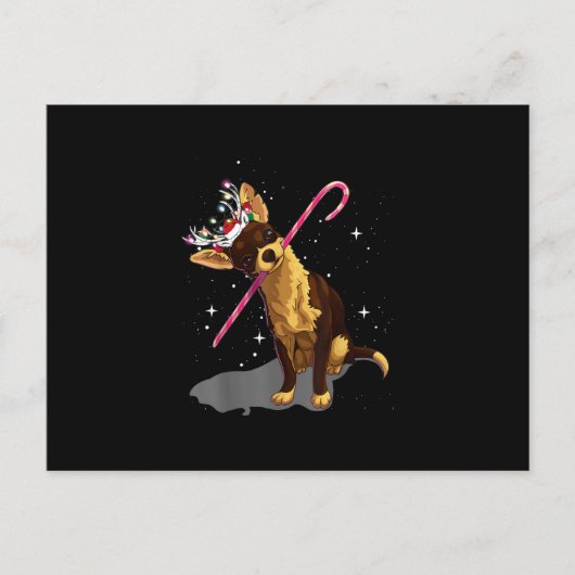 Weihnachtslichter Chihuahua Ankündigungspostkarte (Vorderseite)