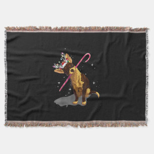 Weihnachtslichter Chihuahua Decke