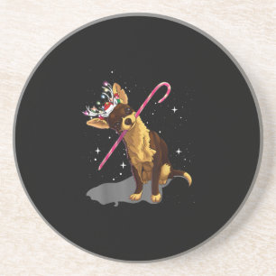 Weihnachtslichter Chihuahua Getränkeuntersetzer