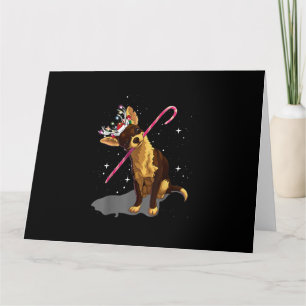 Weihnachtslichter Chihuahua Karte