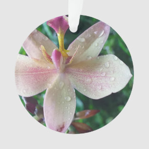 WEIHNACHTSLIEBESGESCHENK FRAUEN , FREUNDIN MUTTER ORNAMENT