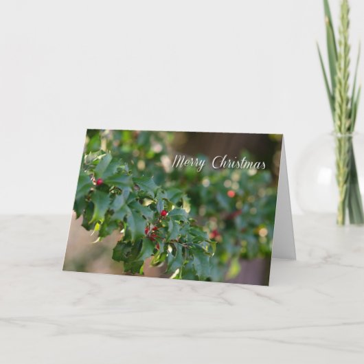 Weihnachtslieder Feiertagskarte (Vorderseite)