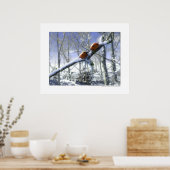 Weihnachtslieder Poster (Küche)