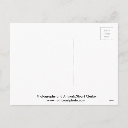 Weihnachtslieder und Raccoon Feiertagspostkarte (Rückseite)