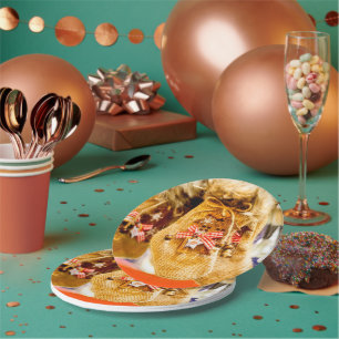 Weihnachtslieferung vom Weihnachtsmann Pappteller