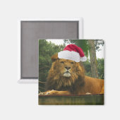 Weihnachtslion-Wear-Weihnachtsmannmütze Magnet (Vorderseite/Rückseite)