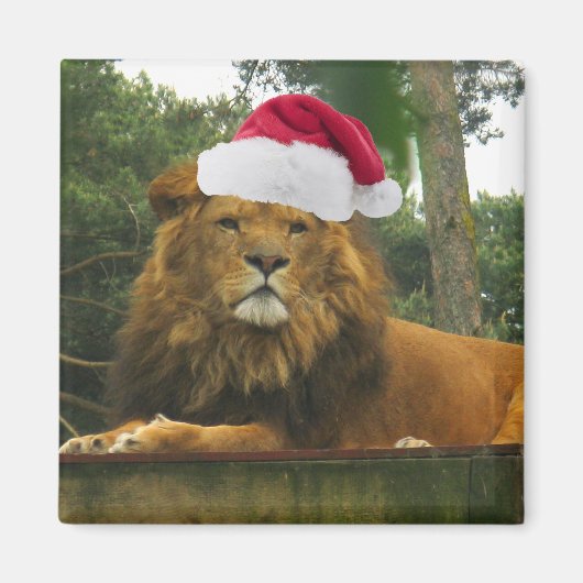 Weihnachtslion-Wear-Weihnachtsmannmütze Magnet (Vorne)
