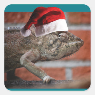 WeihnachtsLizard Quadratischer Aufkleber