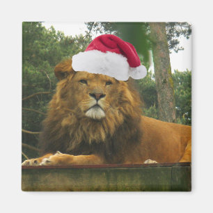 Weihnachtslöwe-tragende Weihnachtsmannmütze Magnet