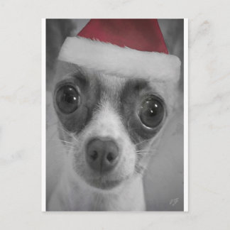 Weihnachtslustiger Chihuahua-Welpe mit Feiertagspostkarte