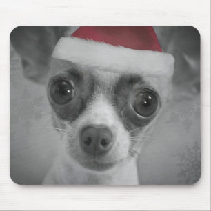 Weihnachtslustiger Chihuahua-Welpe mit Mousepad