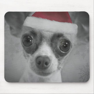 Weihnachtslustiger Chihuahua-Welpe mit Mousepad