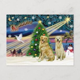 Weihnachtsmagie Golden Retrievers (zwei) Feiertagspostkarte
