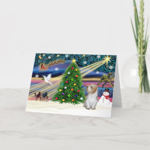 Weihnachtsmagie Petit Basset 3 Feiertagskarte