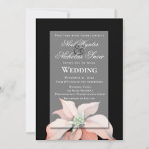 Weihnachtsmagie/ Poinsettia Blume/ Schwarze Hochze