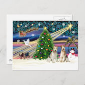 Weihnachtsmagie - Wire Fox Terrier (zwei) Feiertagspostkarte (Vorne/Hinten)