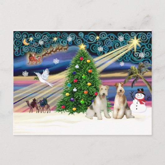 Weihnachtsmagie - Wire Fox Terrier (zwei) Feiertagspostkarte (Vorderseite)
