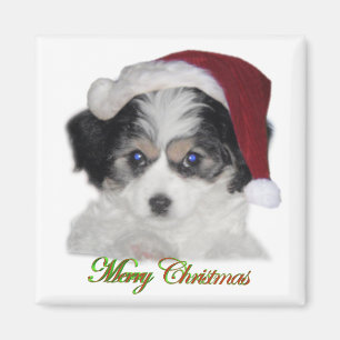 Weihnachtsmagnet Jerseys Sankt Magnet