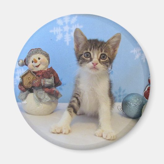 Weihnachtsmagnet - Katze / Kitten Magnet (Vorne)