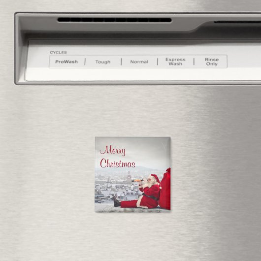 Weihnachtsmagnet Magnet (In Situ (Geschirrspüler))
