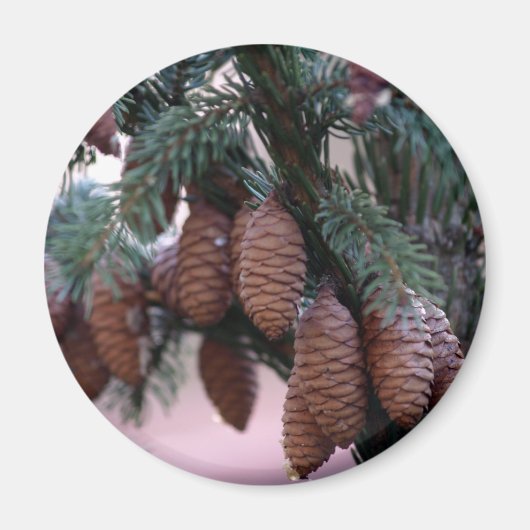 Weihnachtsmagnet Magnet (Vorne)