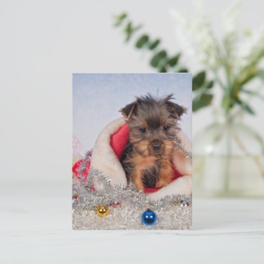 Weihnachtsmann Feiertagspostkarte (Stehend Vorderseite)