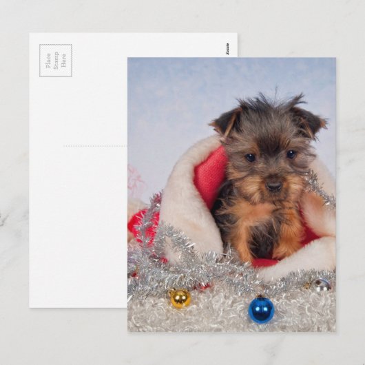 Weihnachtsmann Feiertagspostkarte (Vorne/Hinten)