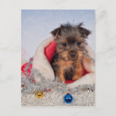 Weihnachtsmann Feiertagspostkarte (Vorderseite)