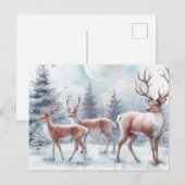 Weihnachtsmann Feiertagspostkarte (Vorne/Hinten)