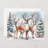 Weihnachtsmann Feiertagspostkarte (Vorne/Hinten)