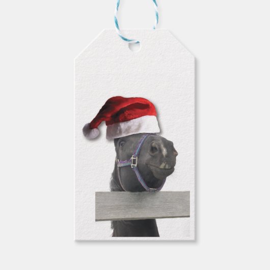 Weihnachtsmann Geschenkanhänger (Vorderseite)