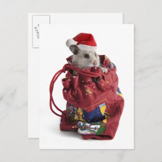Weihnachtsmann-Hamster Feiertagspostkarte (Vorne/Hinten)