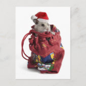 Weihnachtsmann-Hamster Feiertagspostkarte (Vorderseite)