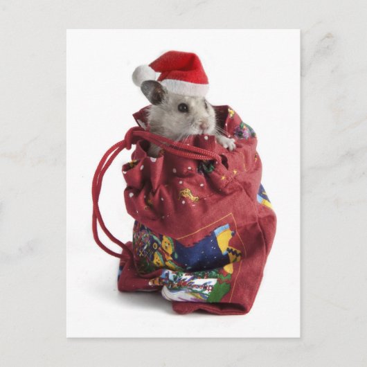 Weihnachtsmann-Hamster Feiertagspostkarte (Vorderseite)