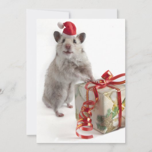 Weihnachtsmann-Hamster mit Geschenk Feiertagskarte (Vorderseite)